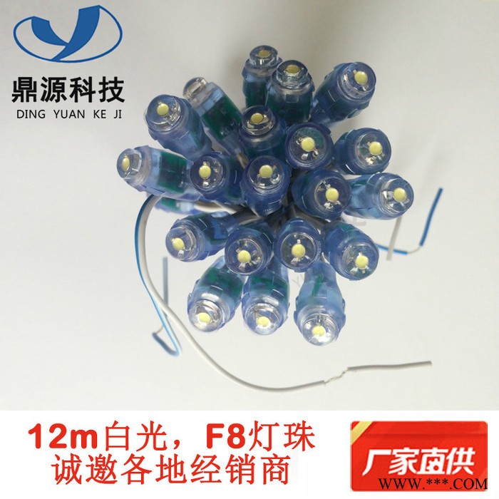 led12mm外露灯串穿孔防雨灯珠广告牌发光字专用光源 led12mm外露灯串广告光源图3