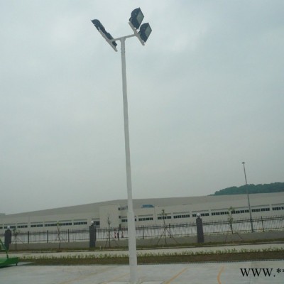 大妙光-042供应6-10米led单臂道路灯 6米A字臂灯杆 8米双臂路灯灯杆 LED10米道路灯