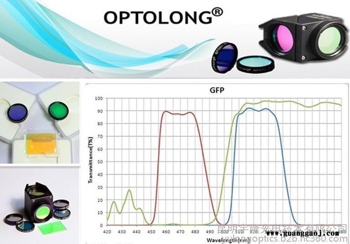 GFP荧光团 **Olympus显微镜 荧光滤镜 高性噪比 深背景 低串音