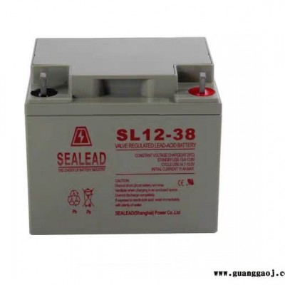 SEALEAD西力SL12-38 西力铅酸蓄电池 蓄电池 不间断电源蓄电池 UPS电源蓄电池 EPS应急电源