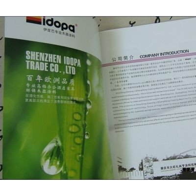 深圳东莞宣传推广物料、产品推广手册、画册海报设计