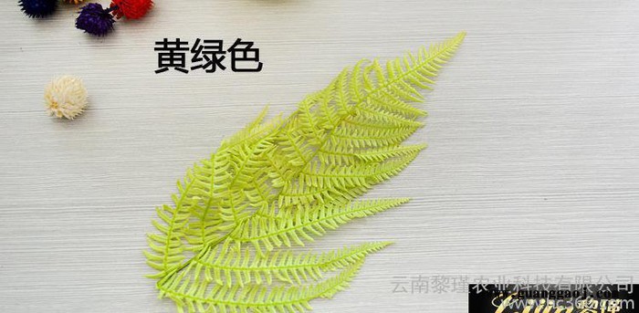 **永生花礼盒必备配花配材 保鲜花龙须草 桌花情人节创意礼品图2