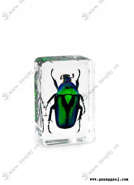 本吉树脂包昆虫埋标本sz009-绿宝石金龟标本 创意礼品