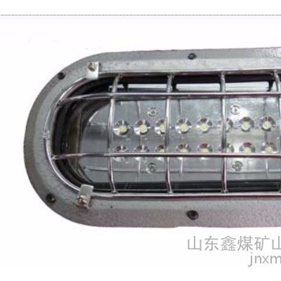 DGS16/127L（A）矿用隔爆型LED支架灯