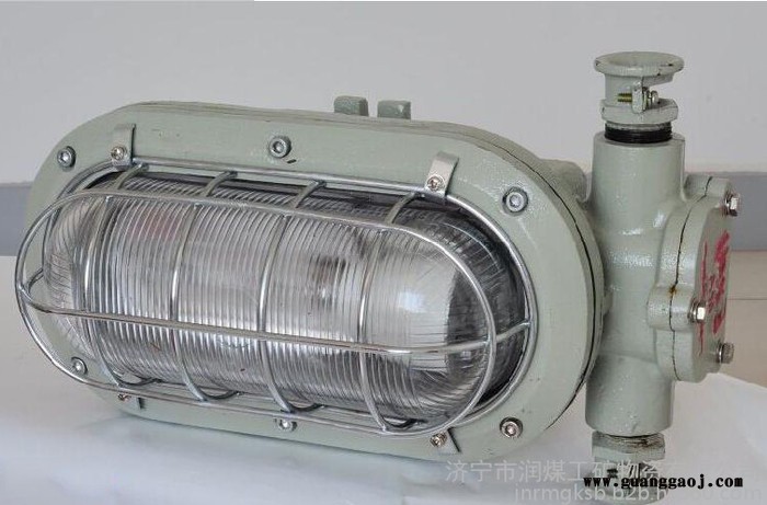 DGS16/127L（A）矿用隔爆型LED支架灯 DGS16/127L（A）矿用隔爆型LED支架灯 LED支架灯