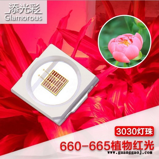 3030红光 led 1W 350MA 660-665NM 高亮度25LM PCT支架光宏30*30**质量保证