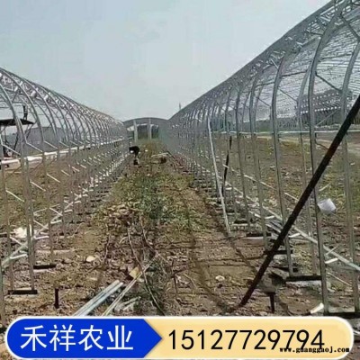 双膜骨架蔬菜大棚 畜牧养殖大棚 桁架双模大棚骨架厂家 禾祥农业 双骨架双层膜温室