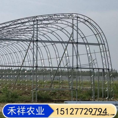 桁架双模大棚骨架厂家 禾祥农业 双骨架双层膜温室 双膜骨架蔬菜大棚 畜牧养殖大棚