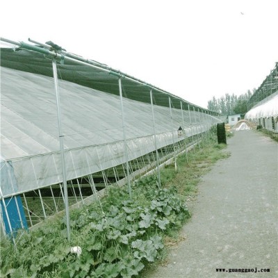 文洛型pc温室造价 揭阳钢筋桁架大棚 草莓温室建设厂家 旭航实地商家