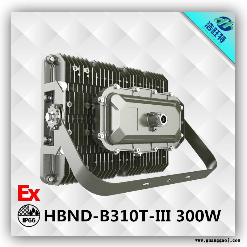 浩旺特HBND-B310T-IIILED防爆灯投光灯  大功率300WLED投光灯   厂家直销