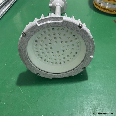 仓库LED防水防尘防腐节能灯  FG6207-LED30C2 侧壁安装 30W防水防腐泛光灯厂家