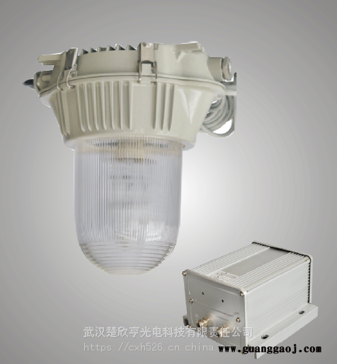 GFE9150防眩应急泛光灯GFE9150-J35防眩应急泛光灯图2