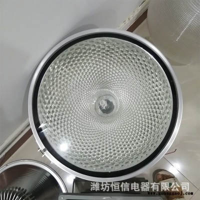 新款投射灯户外照明投光灯 厂家直销品质保障 无闪频高亮度灯光 睿进光源多型号