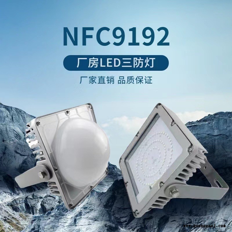 海洋王NFC9192 LED投光灯50W 70W车间户外防水三防通道车间平台灯