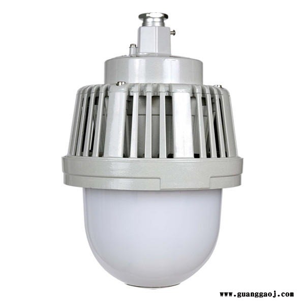 防水防尘防震防眩灯 NLC9201-50W泛光灯  弯杆LED灯