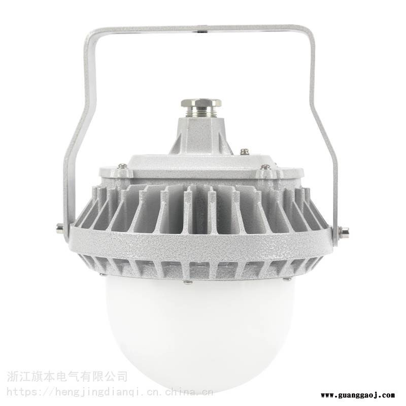 LED三防灯_30W40W50W防腐防尘灯_防水工业照明平台灯100w泛光灯圆形