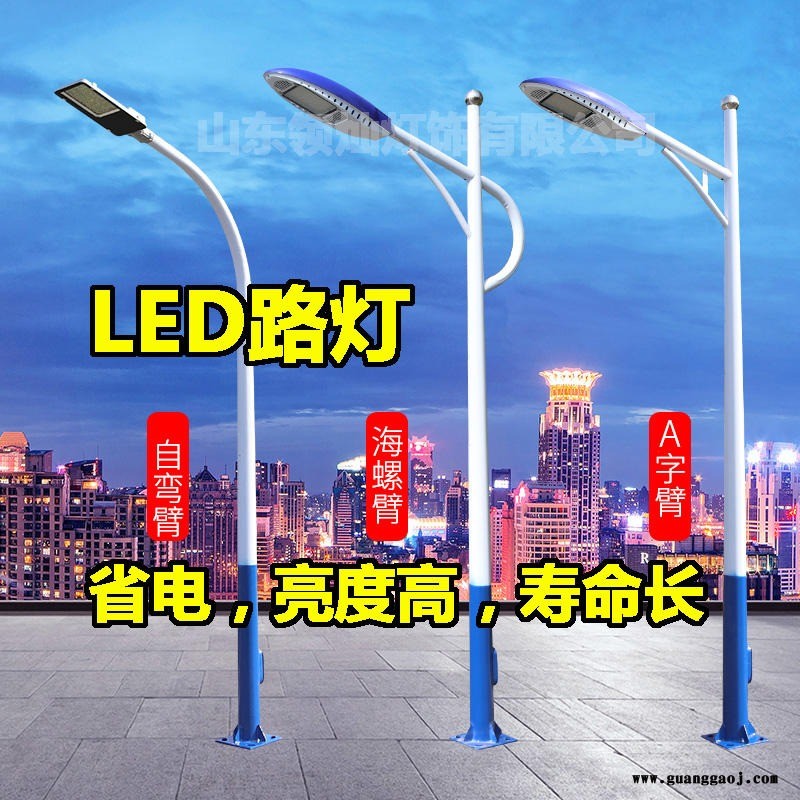 LED路灯  6米LED路灯 LED光源路灯投光灯 德州LED路灯厂家 LED路灯价格 领灿灯饰DLD040202图1