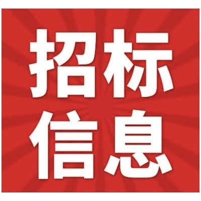 关于湖州市吴兴区东林镇人民政府2023年度广告服务项目的公开招标公告[浙江建友工程咨询有限公司]图1